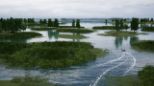 Fishing Sim World (PS4)