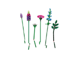 LEGO Botanicals Wildflower Bouquet #10313