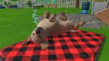 Little Friends Puppy Island (CIAB) (Nintendo Switch)