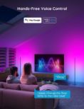 GOVEE RGBICW Floor Lamp Basic