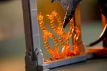 LEGO Icons The Lord of the Rings: Balrog™ Book Nook #10367