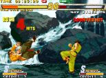 Garou: Mark Of The Wolves (Neo Geo)