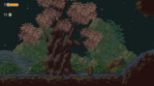 Owlboy (PS4)