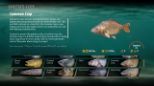 The Catch: Carp & Coarse - Collector's Edition (XBOX One & XBOX Series X)