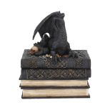 NEMESIS NOW SECRETS OF THE DRAGON škatla 19CM
