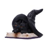 NEMESIS NOW POTION PAIR figura 10.5CM