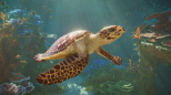 Planet Zoo 2 (XBOX Series X)