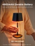 GOVEE TABLE LAMP WITH BATTERY