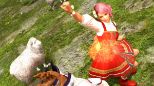 Tekken 6 (XBOX 360)
