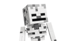 LEGO MINECRAFT - THE SKELETON #21594