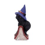 NEMESIS NOW HOCUS 12,7CM figura