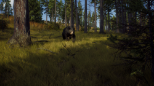 Way of the Hunter (XBOX Series X & XBOX One)
