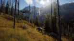 Way of the Hunter (XBOX Series X & XBOX One)