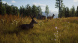 Way of the Hunter (XBOX Series X & XBOX One)