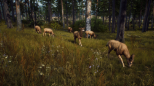Way of the Hunter (XBOX Series X & XBOX One)