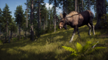 Way of the Hunter (XBOX Series X & XBOX One)