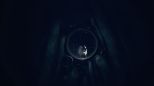 REANIMAL (Playstation 5)