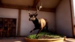 Way Of The Hunter 2 (Playstation 5)