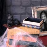 NEMESIS NOW SALEMS SPELLS 11,7CM figura