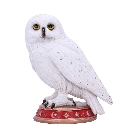 NEMESIS NOW WIZARD'S FAMILIAR figura 10CM