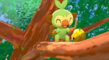 POKEMON SHIELD [IT VERSION] (Nintendo Switch)