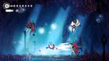 Hollow Knight: Silksong (Nintendo Switch 2)