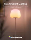 GOVEE LANTERN FLOOR LAMP S