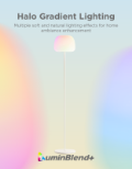 GOVEE LANTERN FLOOR LAMP S