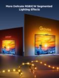 GOVEE Envisual TV Backlight 3 Lite 55-65 