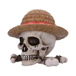 NEMESIS NOW ONE PIECE LUFFY JOLLY ROGER škatla