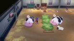 Story Of Seasons: Grand Bazaar - Limited Edition (SWITCH)
