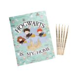 BLUE SKY: Harry Potter - potovalni igralni set