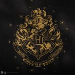 CINEREPLICAS: Harry Potter - Hogwarts Black PU Leather shopping bag