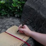 CINEREPLICAS: Harry Potter - Albus Dumbledore pisalo s stojalom