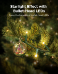 GOVEE Christmas Sparkle String Lights 20m