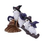 NEMESIS NOW FEATHERED BROOMSTICK figura 26CM