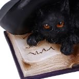 NEMESIS NOW POTION PAIR figura 10.5CM