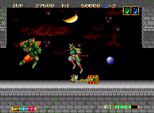 Magician Lord (Neo Geo)