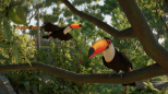 Planet Zoo 2 (XBOX Series X)