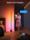 GOVEE RGBICWW Floor Lamp Pro