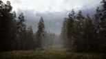 Hunting Simulator 2 (PC)