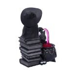NEMESIS NOW CULT CUTIES CURIOUS CAULDRON figura
