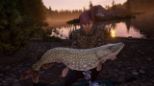 The Catch: Carp & Coarse - Collector's Edition (XBOX One & XBOX Series X)
