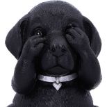 NEMESIS NOW Three wise labradors figurica