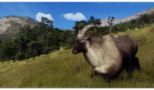 Way Of The Hunter - Wild Expeditions (XBOX Series X)