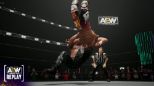 AEW: Fight Forever (XBOX Series X & XBOX One)