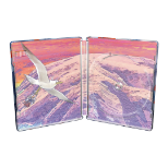 Terranigma - Steelbook Edition (Playstation 5)