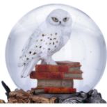 NEMESIS NOW Harry Potter Hedwig snežna krogla