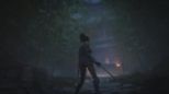 Wuchang: Fallen Feathers (Playstation 5)