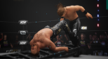 AEW: Fight Forever (XBOX Series X & XBOX One)
